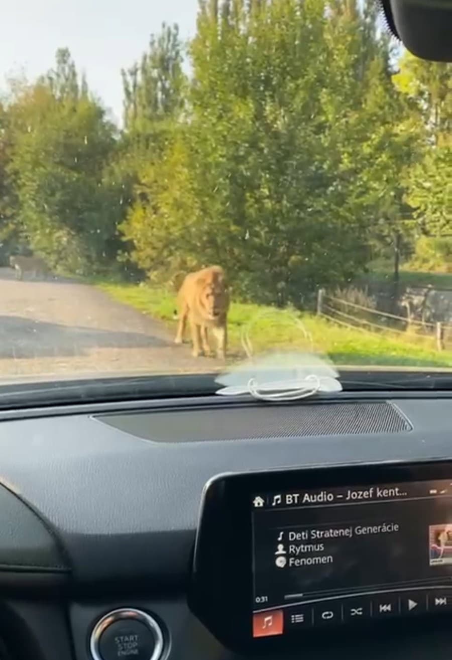 Poškodenie nárazníka spôsobila táto