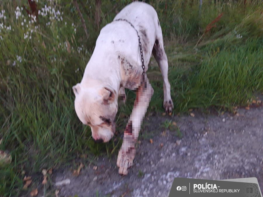 Enviropolícia obvinila dve osoby,