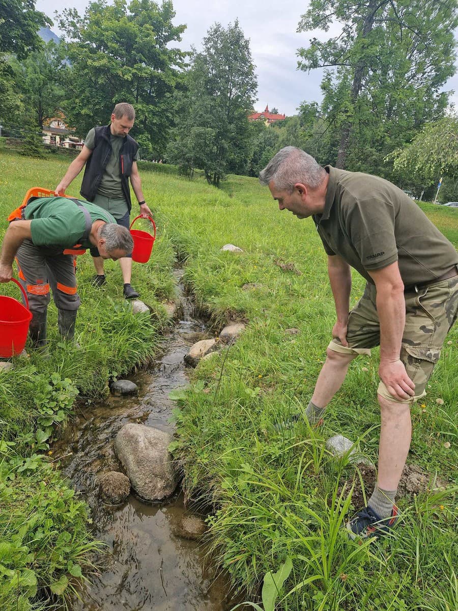 V intraviláne Tatranskej Lomnice