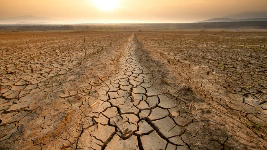 Klimatická zmena ovplyvňuje naše