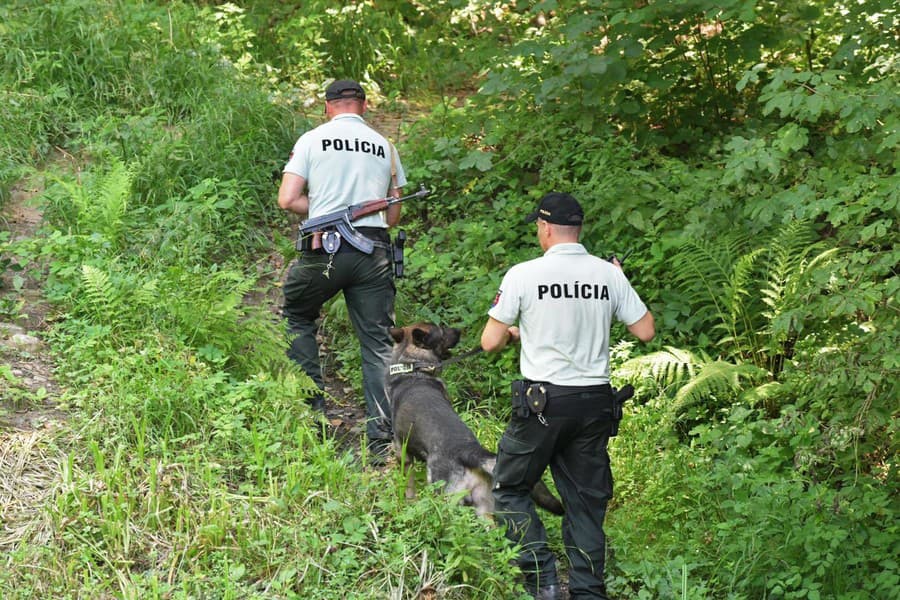 Polícia počas akcie na