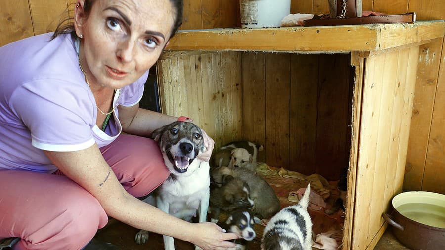 Veterinárka Lenka tvrdí, že sa mláďatám darí dobre.