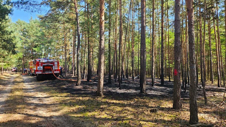 V katastri obce Lakšárska