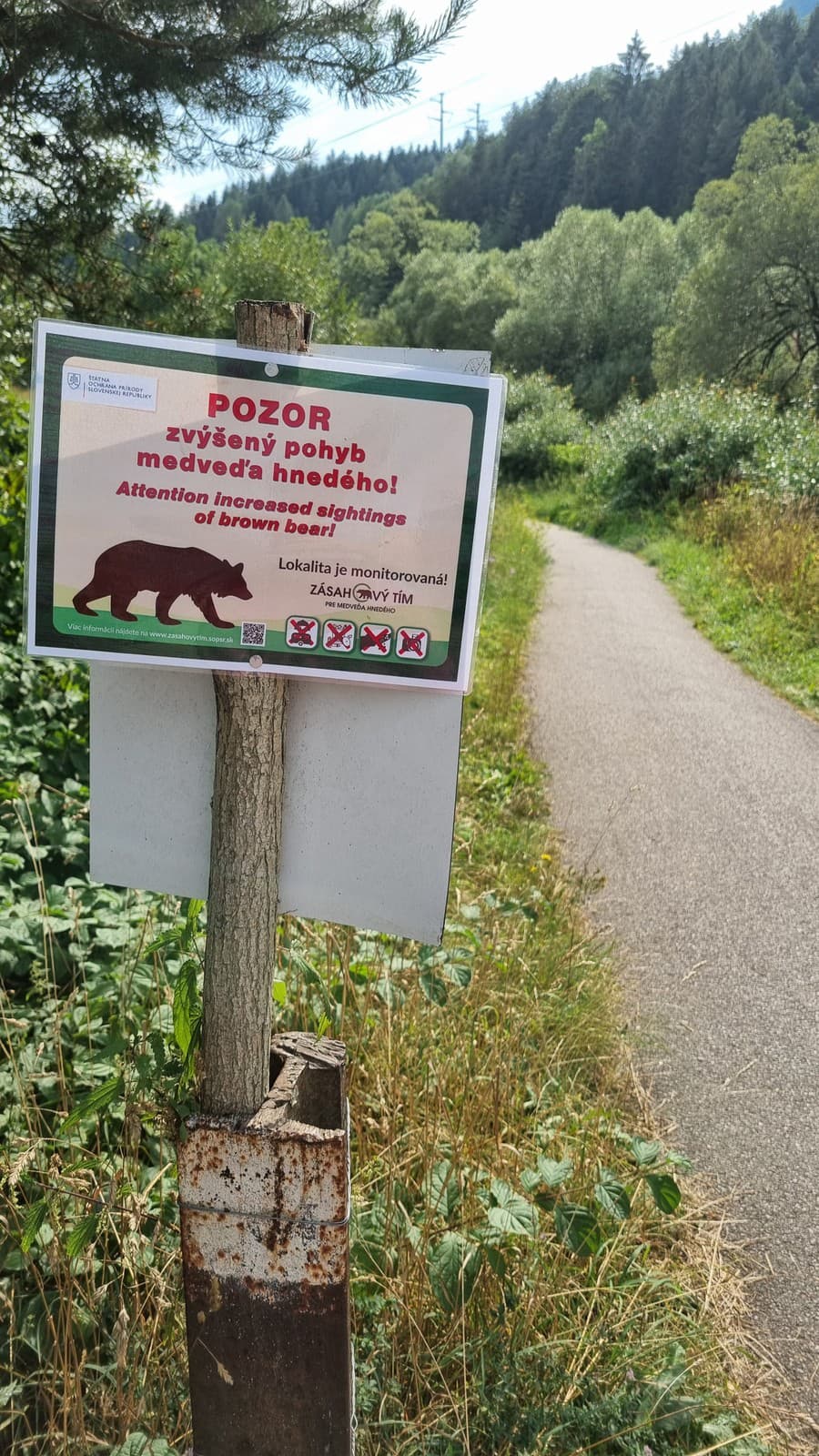 Ružomberskú cyklotrasu monitoruje zásahový tím, videli tam medveďa.