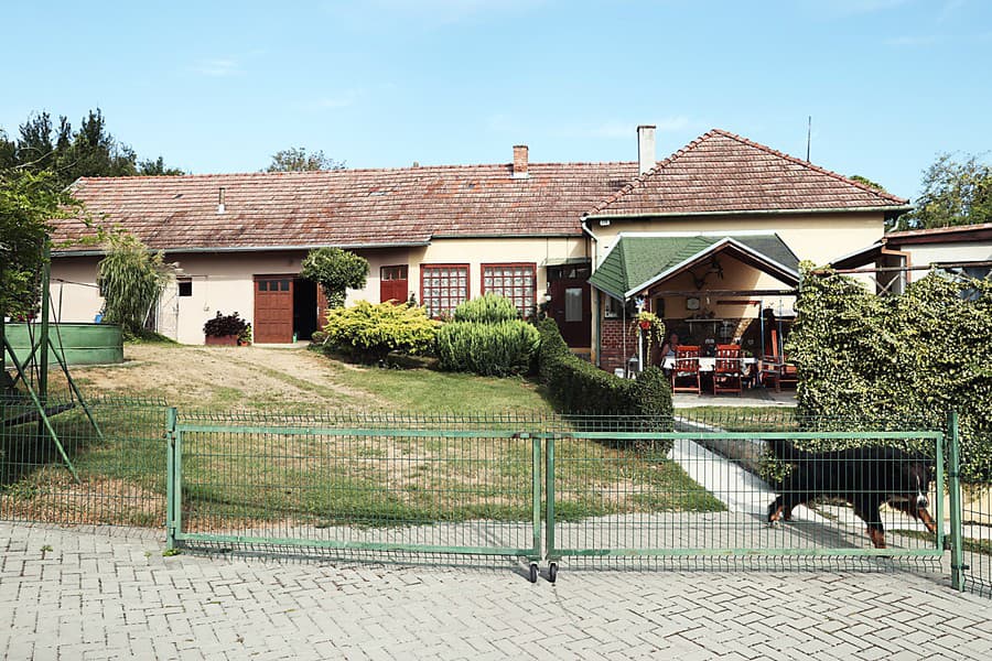 V tomto dome niekedy žil aj známy umelec.