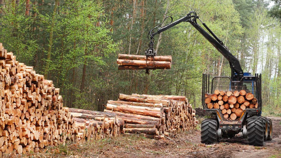 V lokalite Studienec prebieha