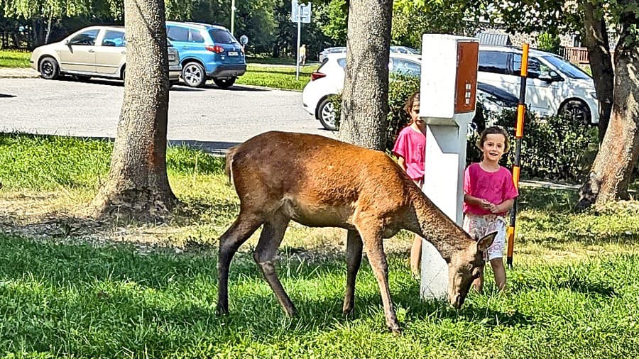 Medzi turistami sa denne