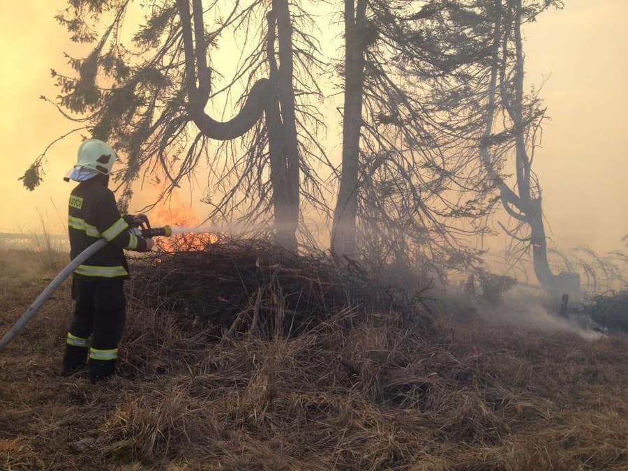 Vypaľovanie suchej trávy či porastov je príčinou desiatok požiarov ročne.