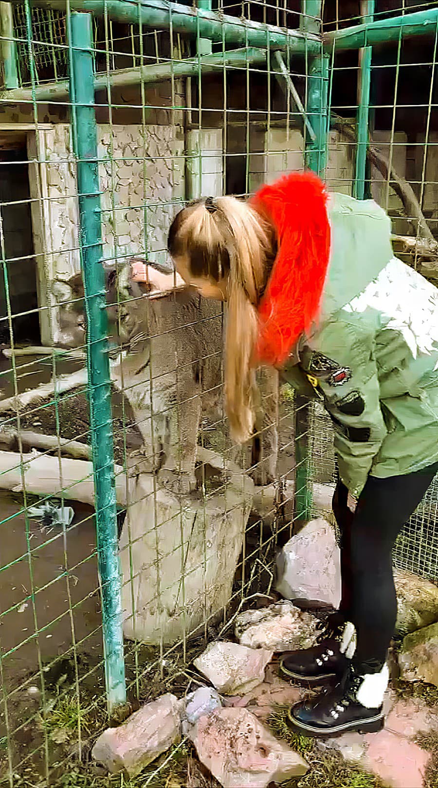 Barbara v kontaktnej zoo