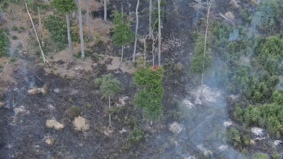 Požiar lesného porastu likvidovalo