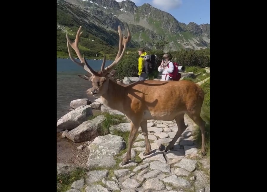 Na sociálnej sieti sa