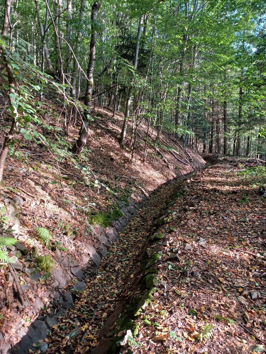 Banskoštiavnická spoločnosť Mestské lesy