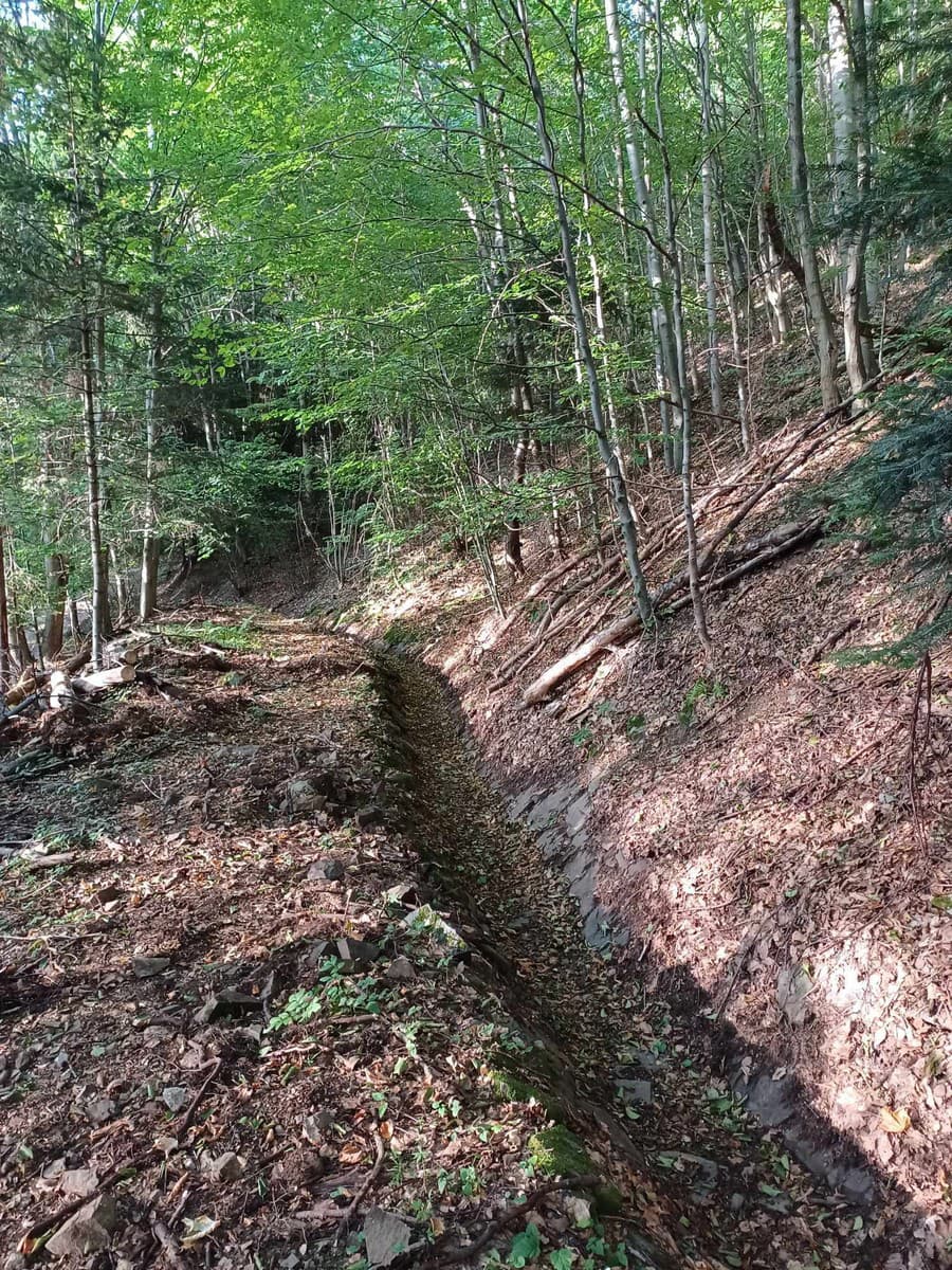 Banskoštiavnická spoločnosť Mestské lesy