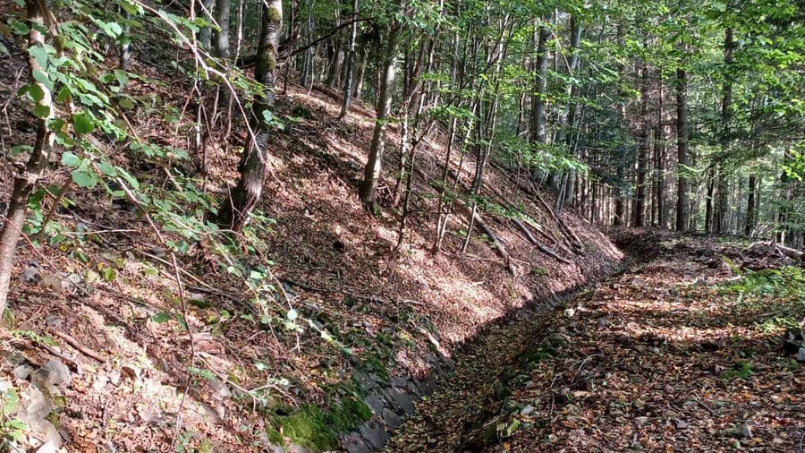 Banskoštiavnická spoločnosť Mestské lesy