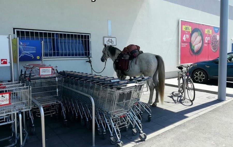 Na zábere niekto priviazal svojho koňa pri nákupných vozíkoch vedľa supermarketu v Bratislave.