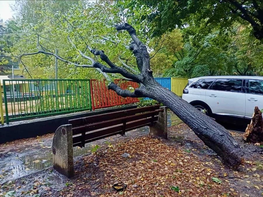 Spadnutý strom v Ružinove.