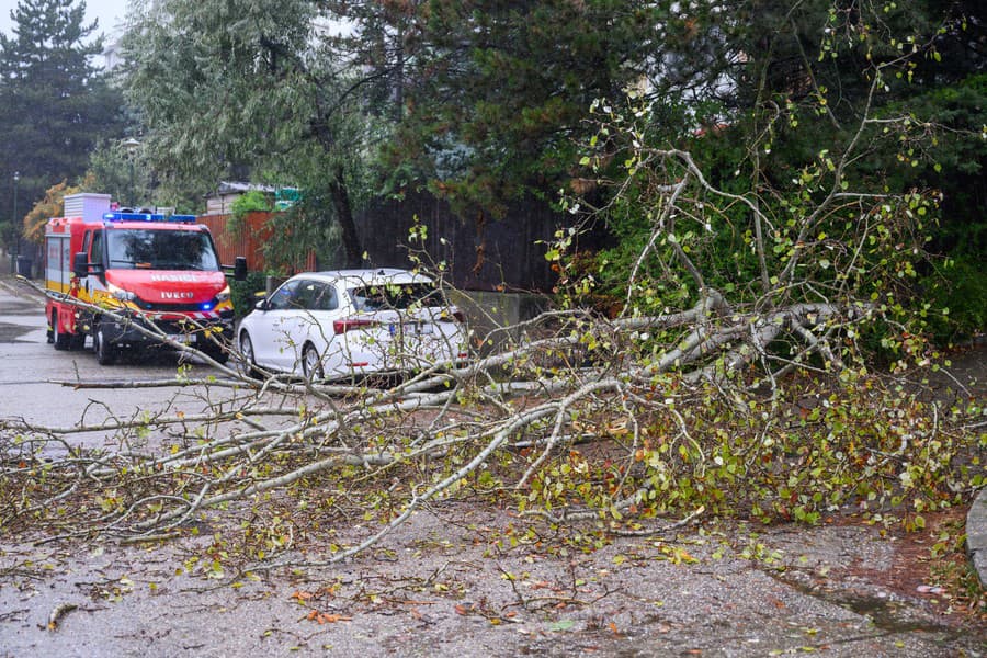 Spadnutý strom na ulici