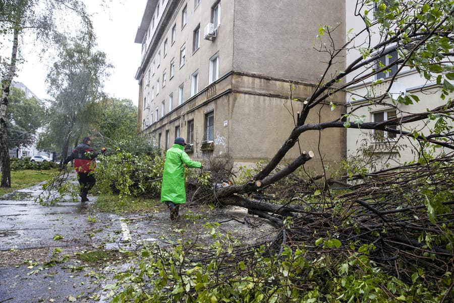 Spadnuté stromy na Miletičovej ulici v Bratislave.