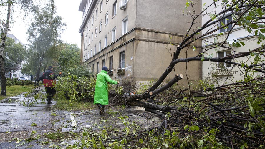 Spadnuté stromy na Miletičovej