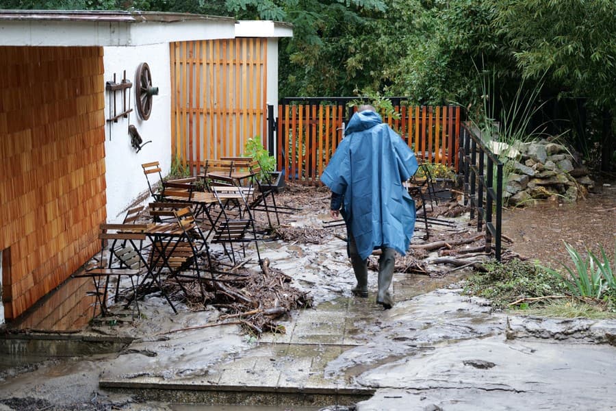 V zoo po povodni