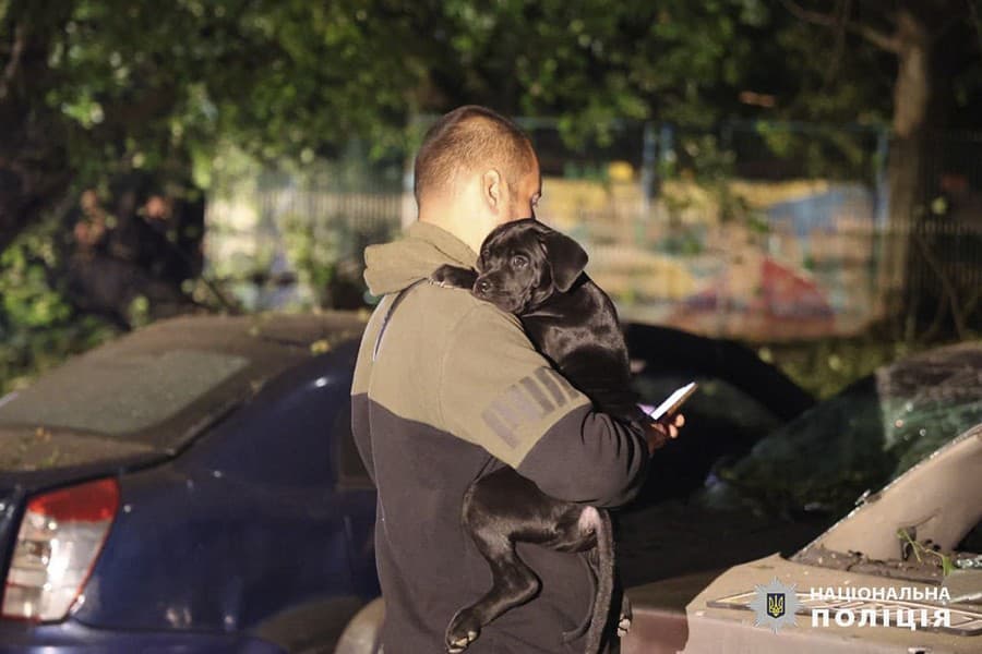 Muž drží v náručí šteňa pred vrakmi áut po bombovom útoku ruskej armády na obytnú budovu v ukrajinskom meste Charkov v skorých ranných hodinách v nedeľu 22. septembra 2024.
