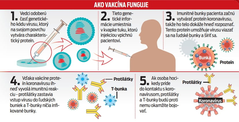 Ako vakcína funguje