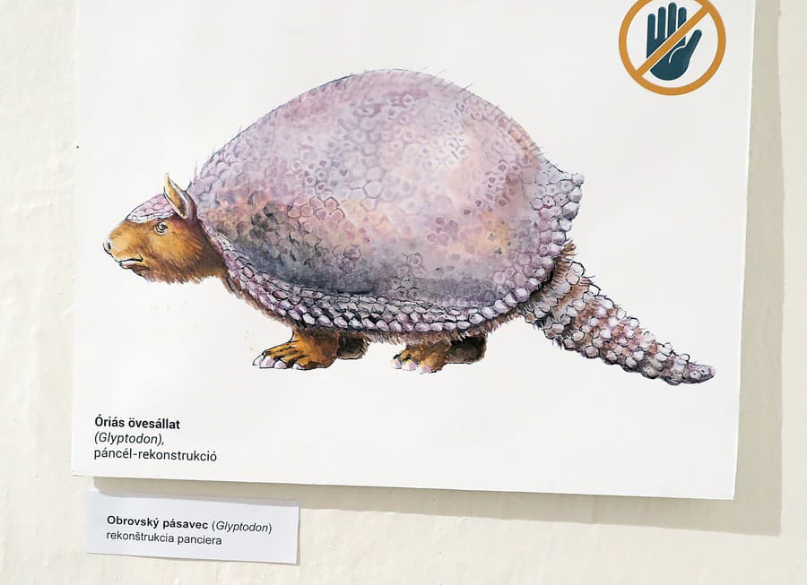 Pásavec obrovský (Glyptodont)