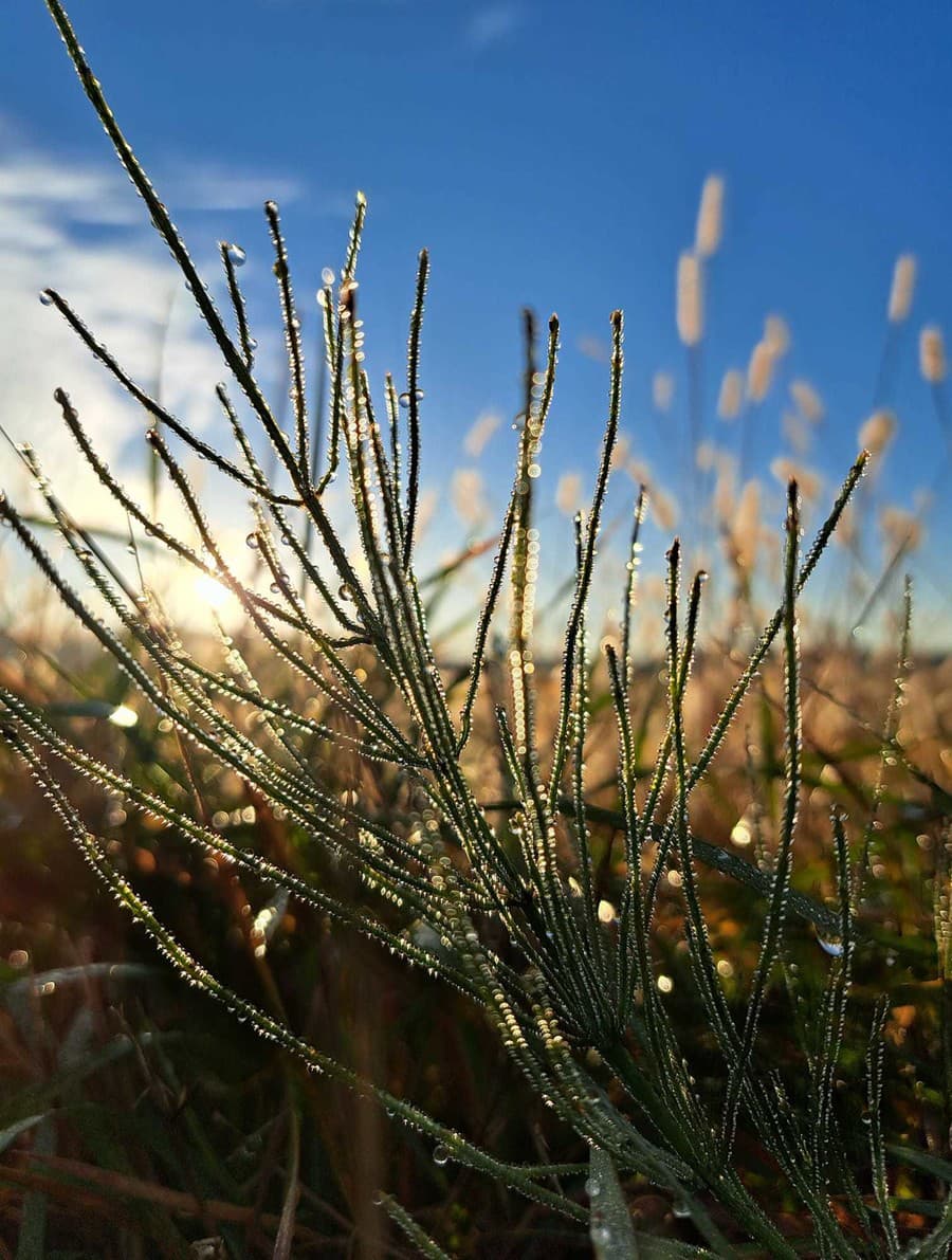 Jablonica. Slováci zverejnili fotky