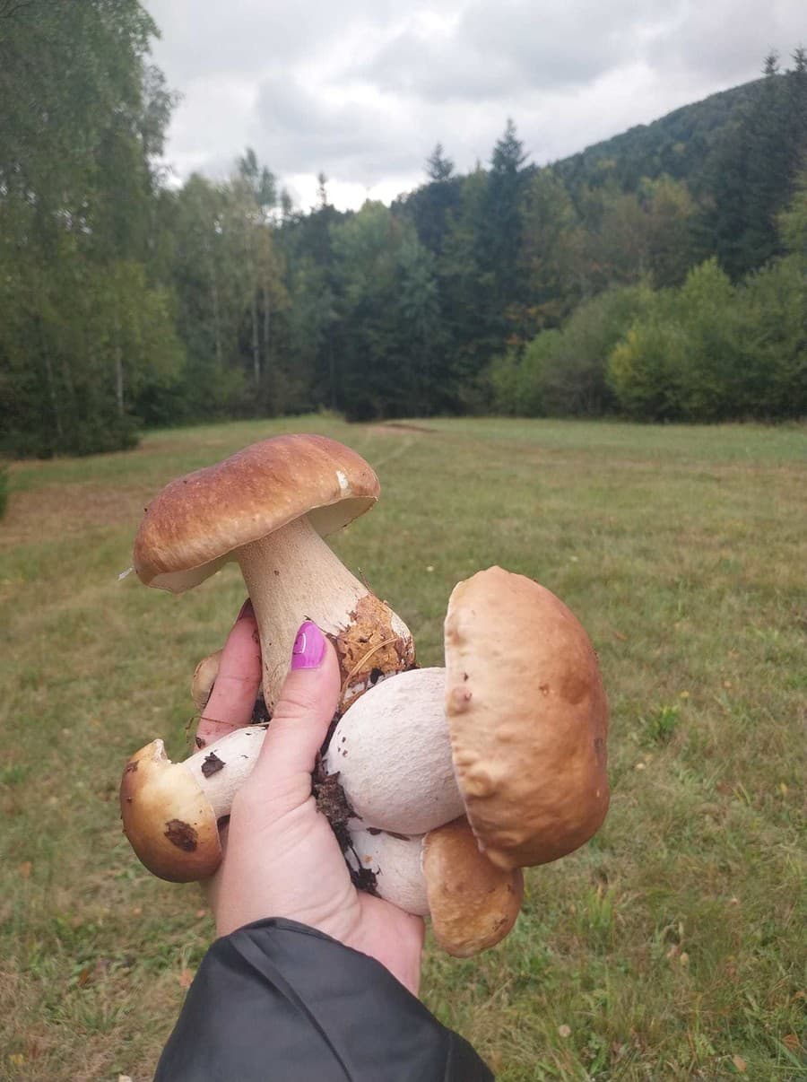 Slováci sa podelili so svojimi úlovkami.
