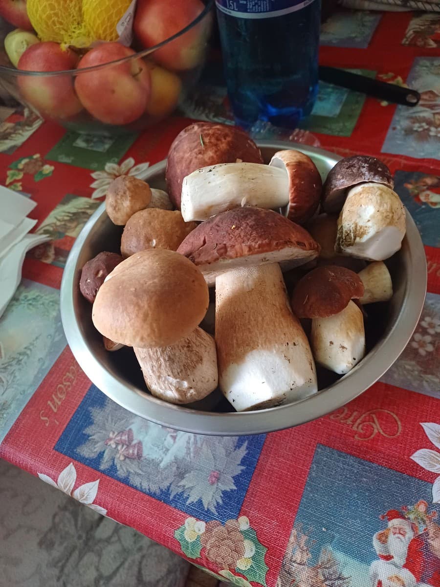 Slováci sa podelili so svojimi úlovkami.