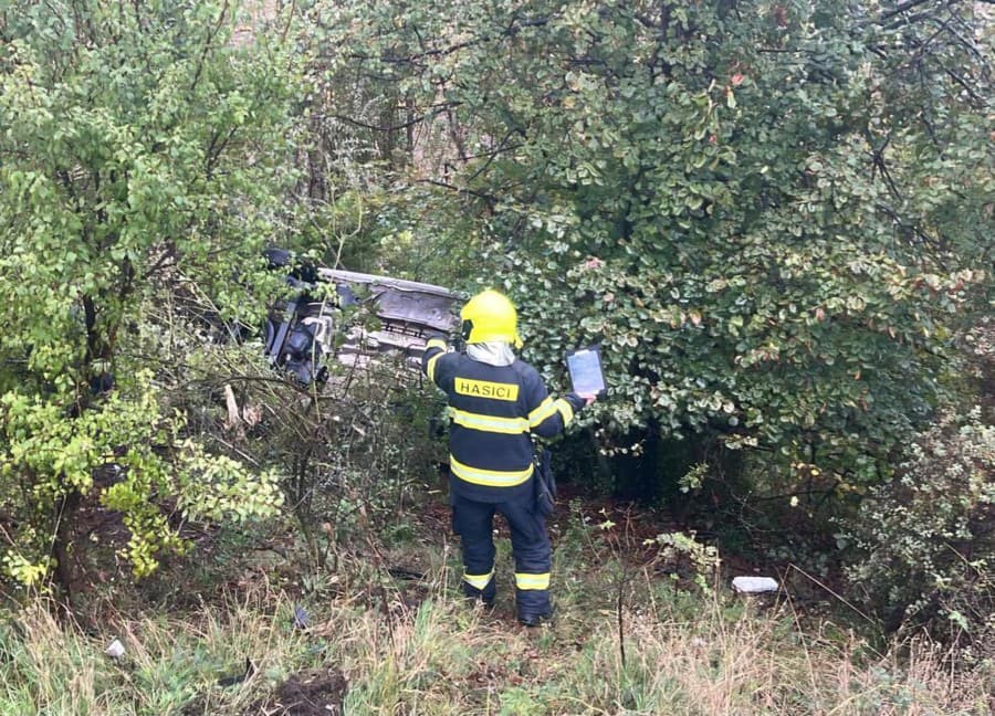 Vodič osobného auta pravdepodobne