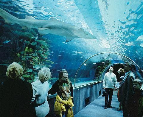 Tropicarium Budapešť