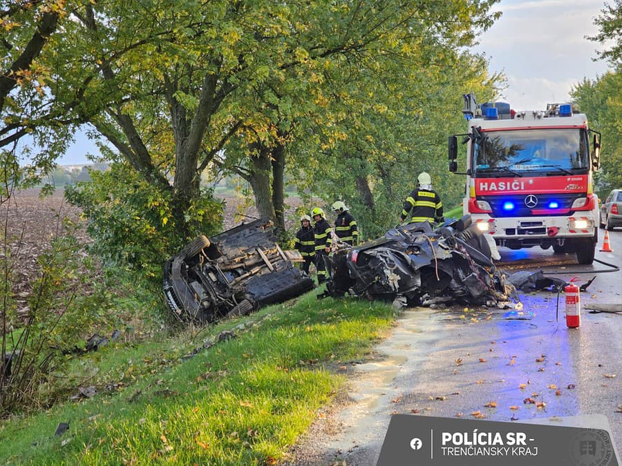 Alkohol u vodiča policajti