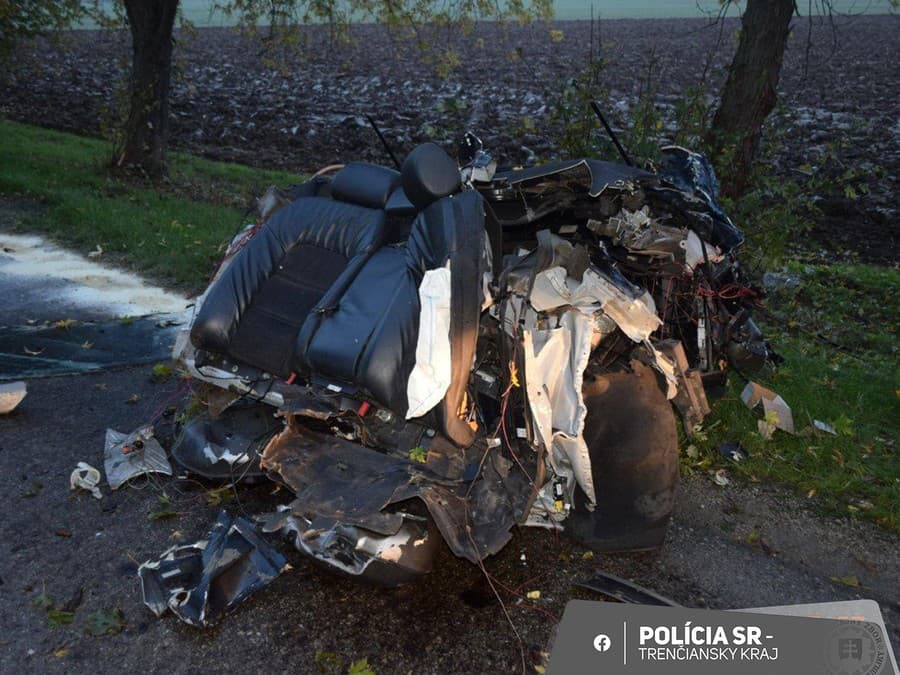 Auto narazilo do stromu.