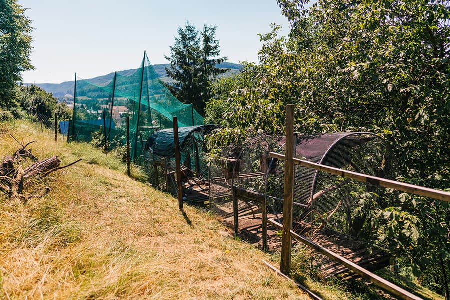 Ochranári vybudovali na Záhorí útočisko pre zranené zvieratá úplne svojpomocne.