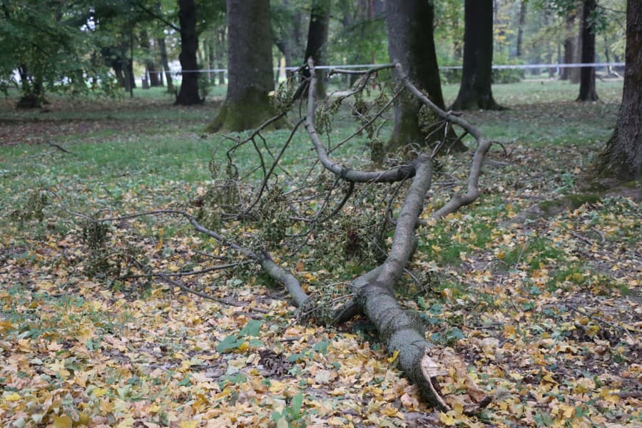 Mesto Senica upozorňuje na