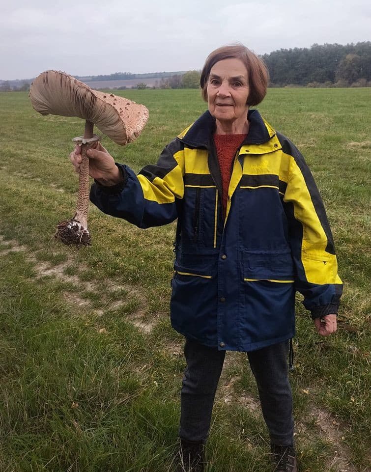 Neuveriteľný úlovok. Bedľa bola veľká ako dáždnik. 