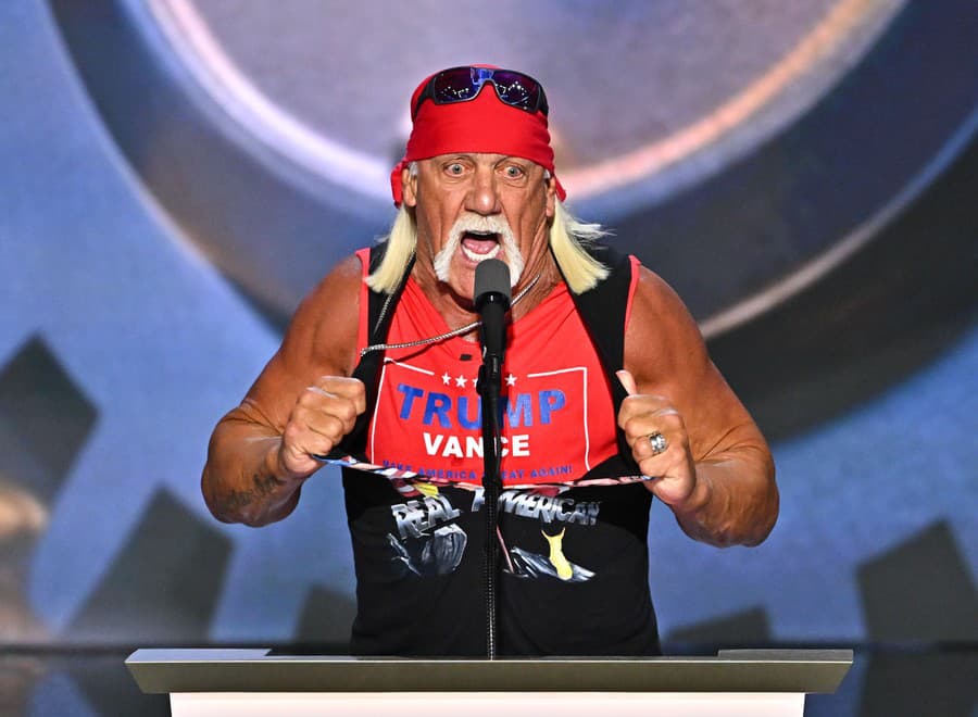 Hulk Hogan (71)