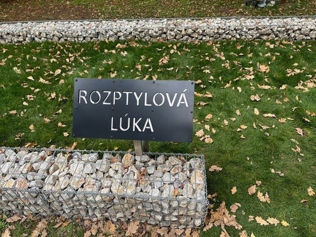 Rozptylovú lúku skrášlili v priebehu 7 dní.
