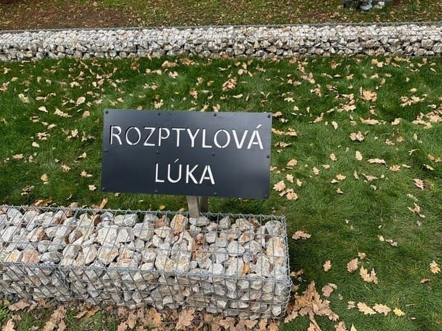 Rozptylovú lúku skrášlili v