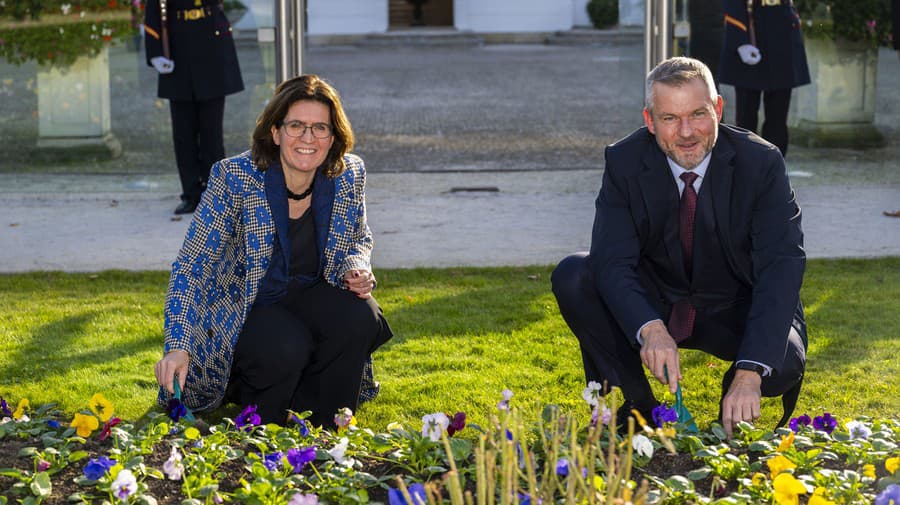 Spoločne zasadili oranžové tulipány.