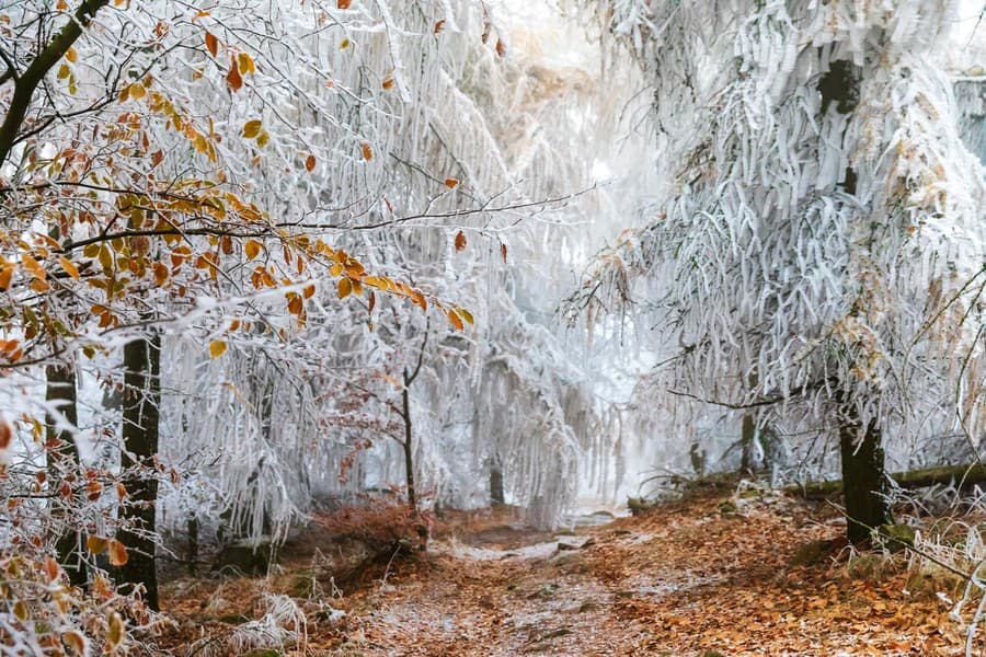 Zuzana nafotila nádherné fotografie