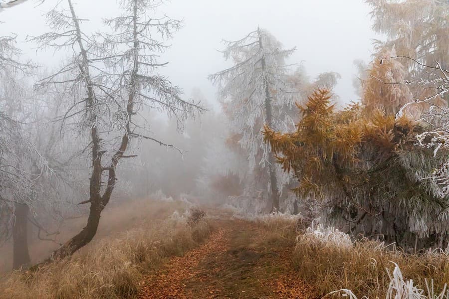 Zuzana nafotila nádherné fotografie