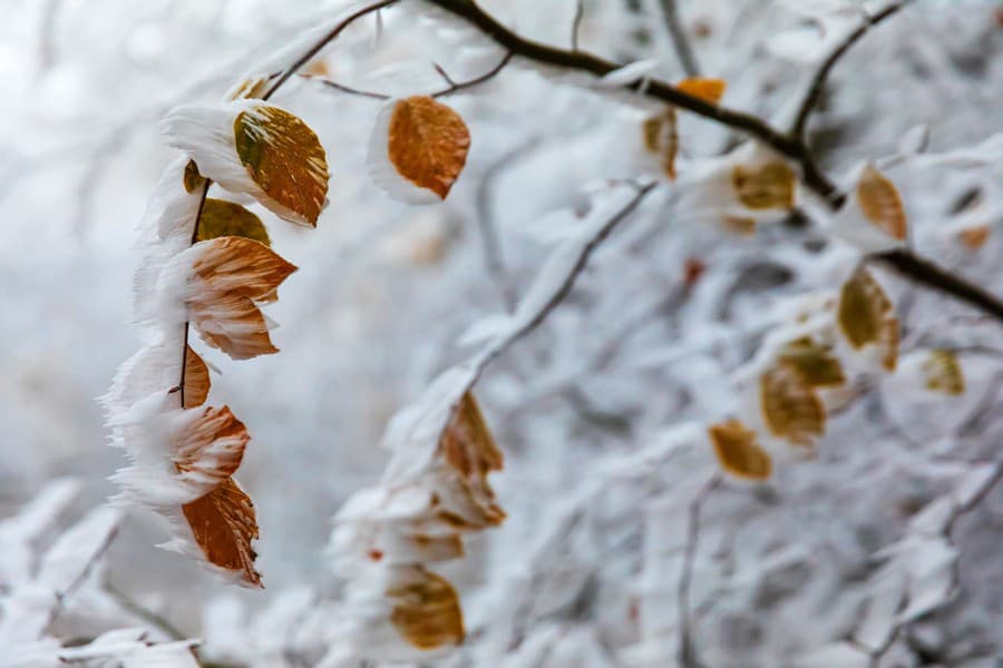 Zuzana nafotila nádherné fotografie