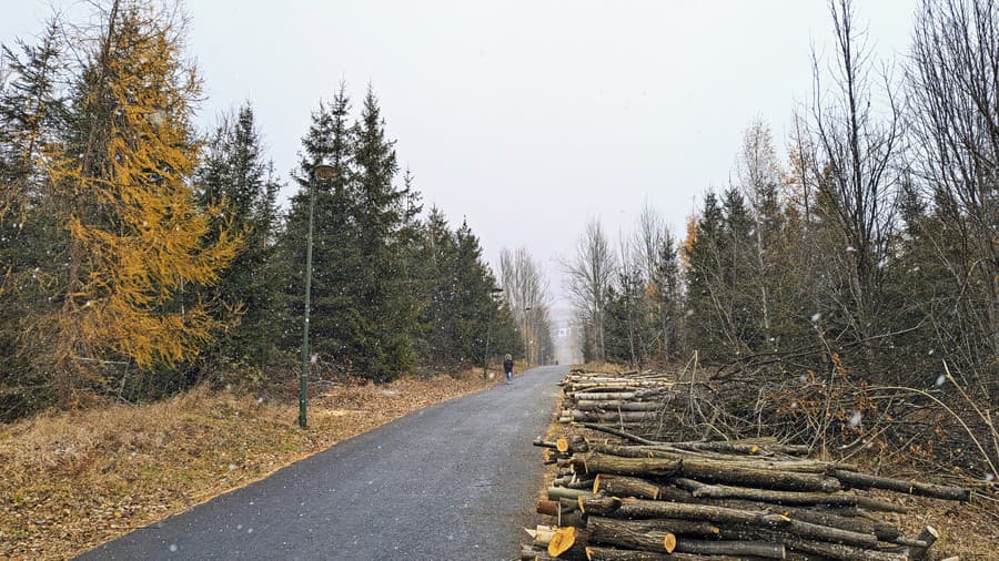 2024. Cesta v Smokovci.