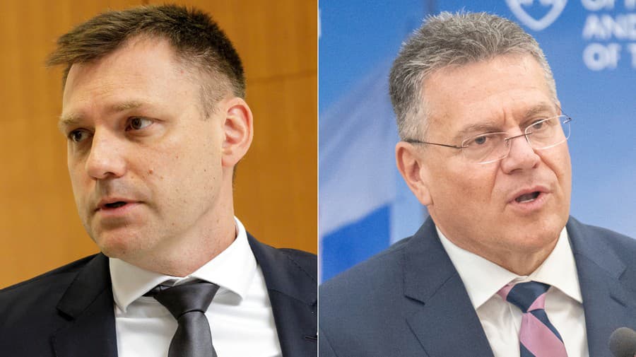 ahraničné organizácie znepokojuje odstrel medveďov, píšu Tarabovi i Šefčovičovi.