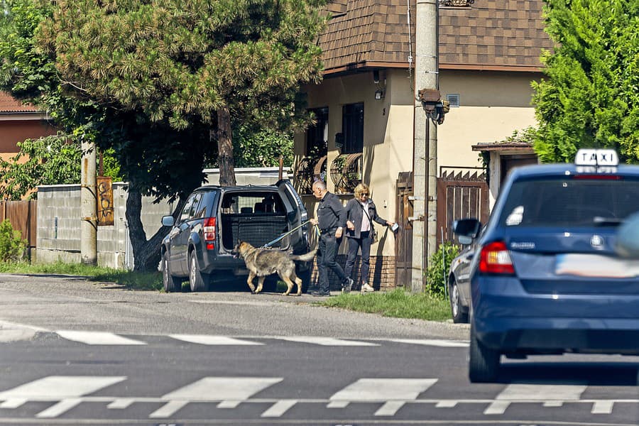 Pravidelnou aktiviou Rážovcovje aj