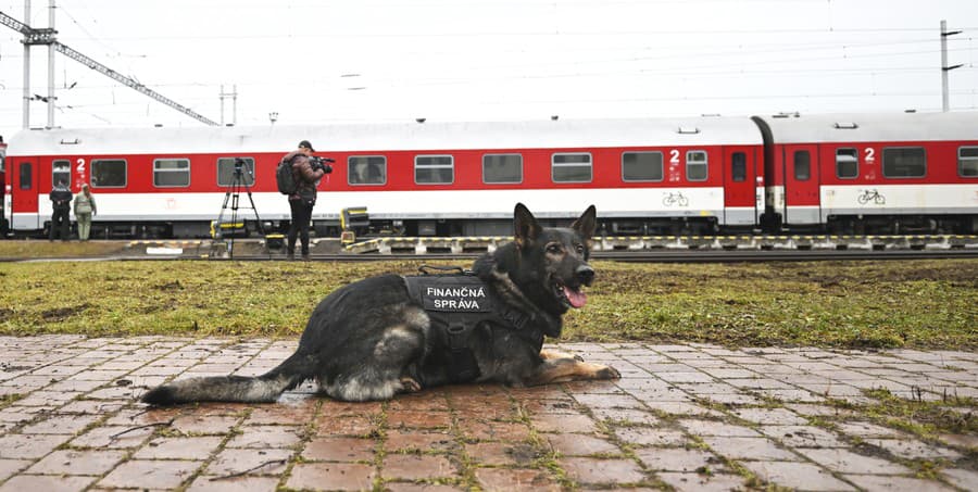 Vlakové spojenie z Ukrajiny.