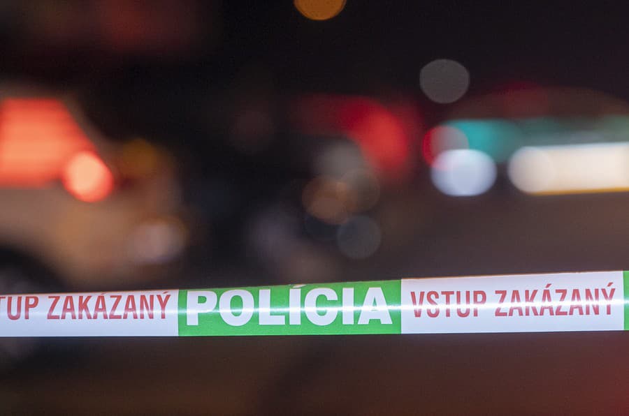 Podľa doposiaľ zistených informácií mal Vladimír ešte v doobedných hodinách bodnúť svoju manželku Slávku († 49) do hrude. 