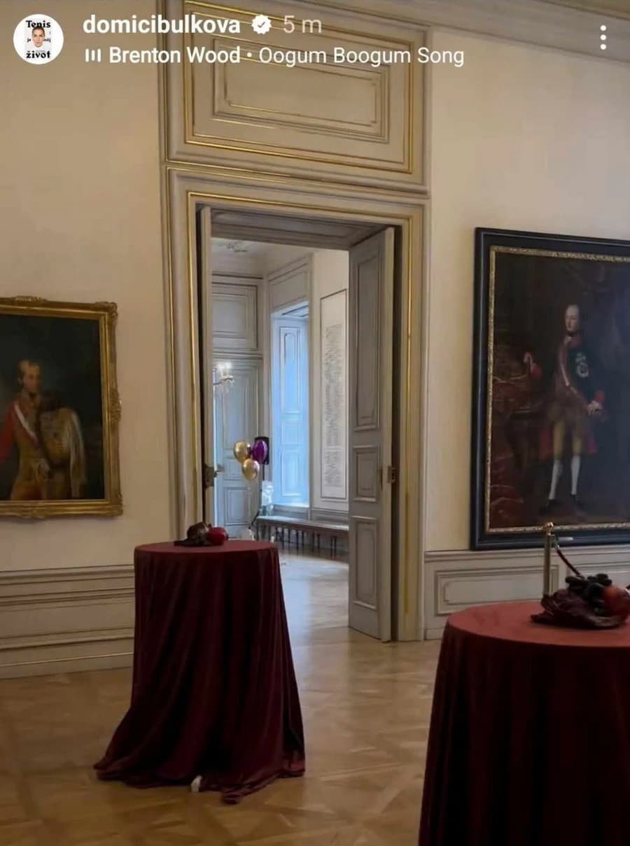 Cibulkovej dcéra Nina oslavovala 2. narodeniny v týchto luxusných priestoroch.
